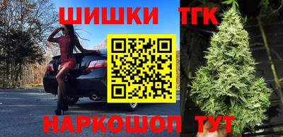 шишки Гусиноозёрск